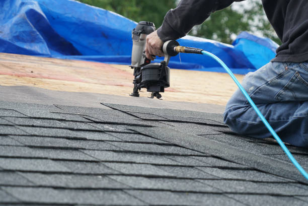 Best Commercial Roofing Services  in Sidy, NE